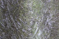 Lloyney fibreglass roof work